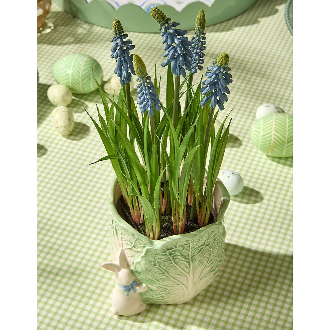 Potted plant with blue flowers on a green checkered tablecloth