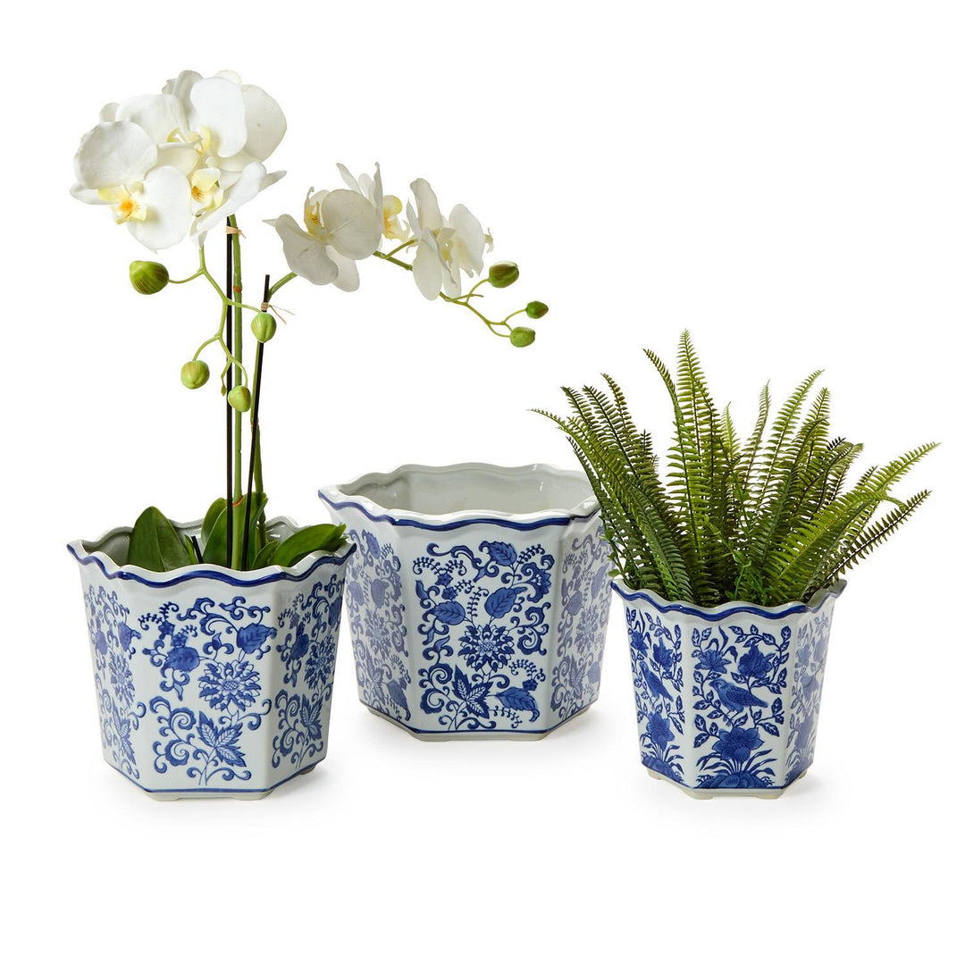 Three potted plants in decorative blue and white pots on a white background