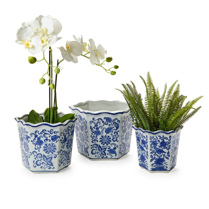 Three potted plants in decorative blue and white pots on a white background