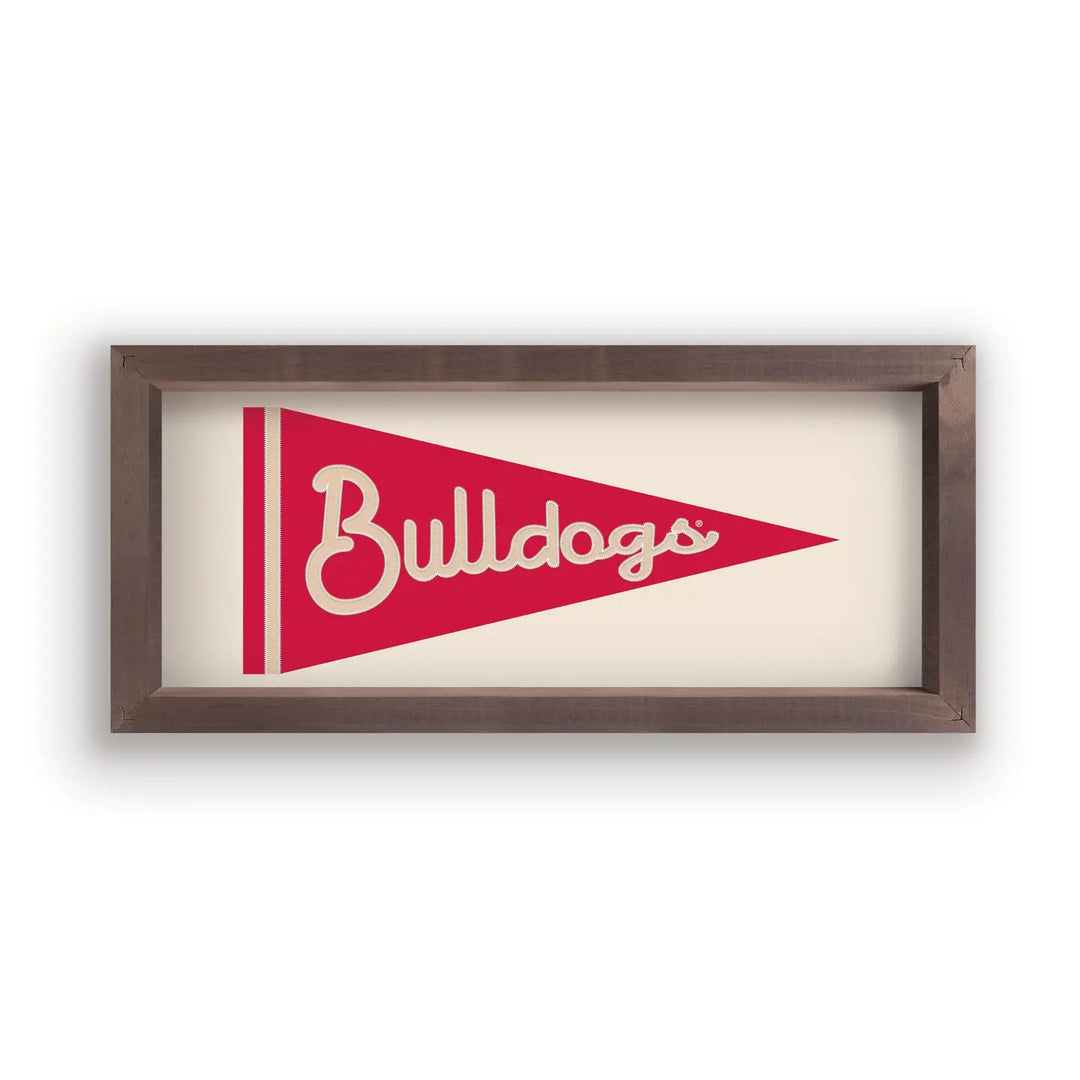 UGA FLAG FRAMED ART