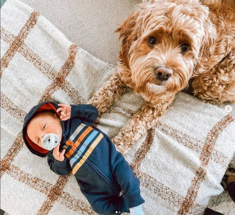 Baby in a blue outfit lying on a checkered blanket next to a dog.