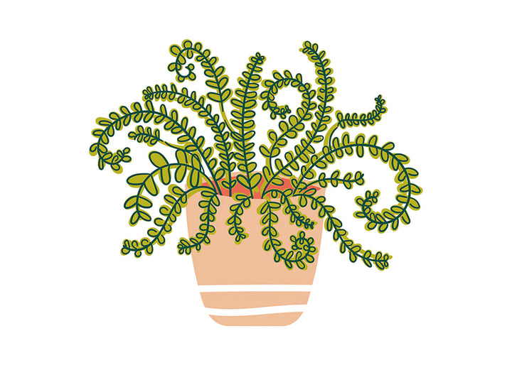 BIG HOUSEPLANT ATTACHMENT