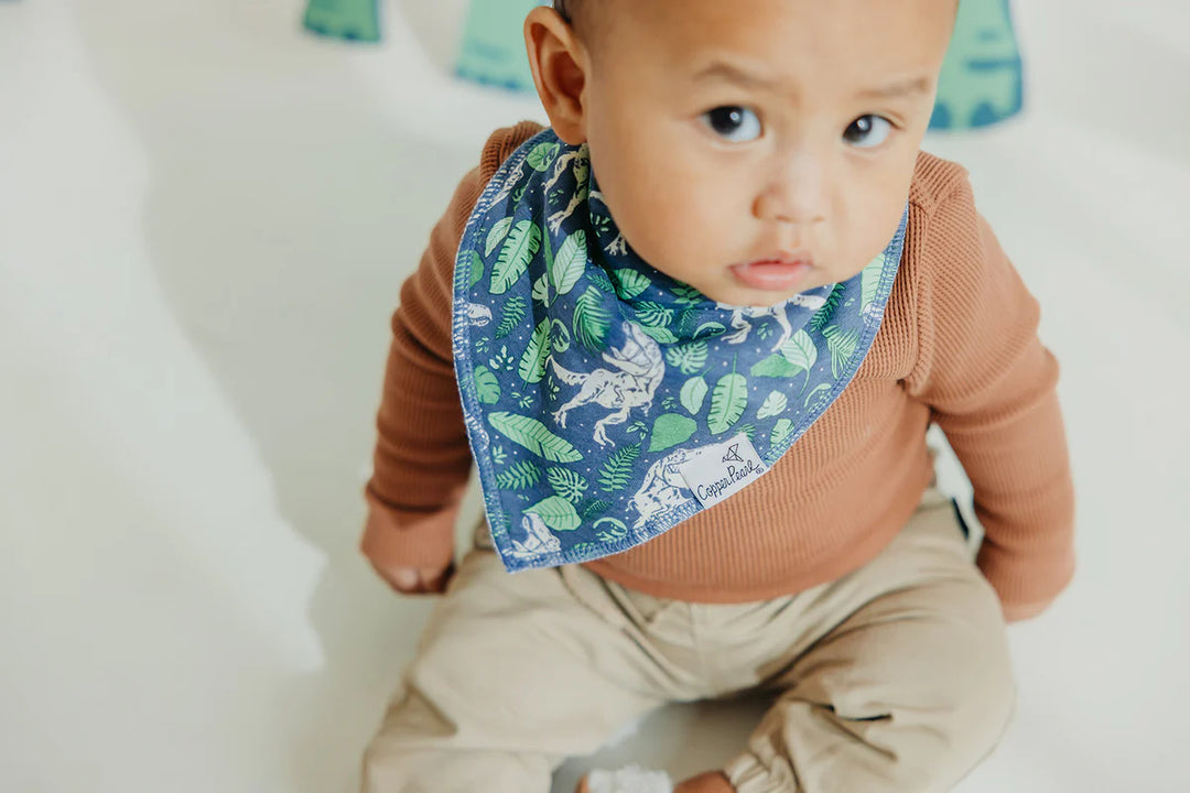 JURASSIC PARK BANDANA BIB