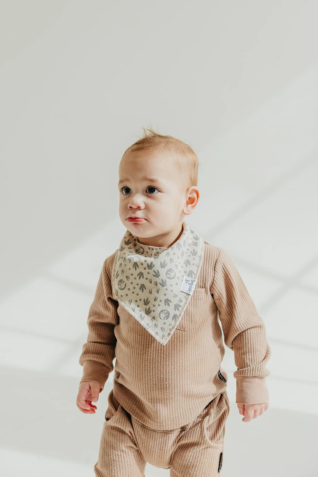 JURASSIC PARK BANDANA BIB