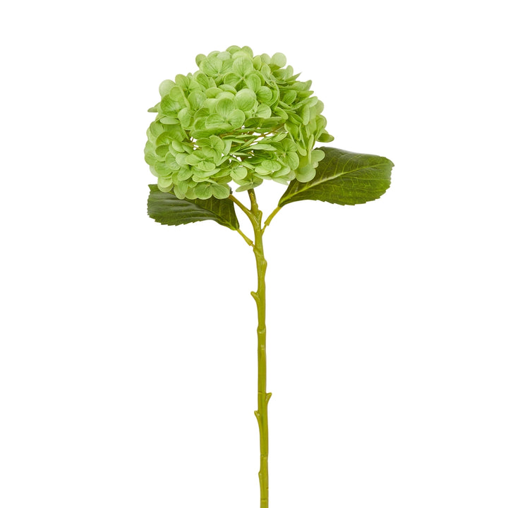 Faux green hydrangea stem with leaves | Walker Boutique