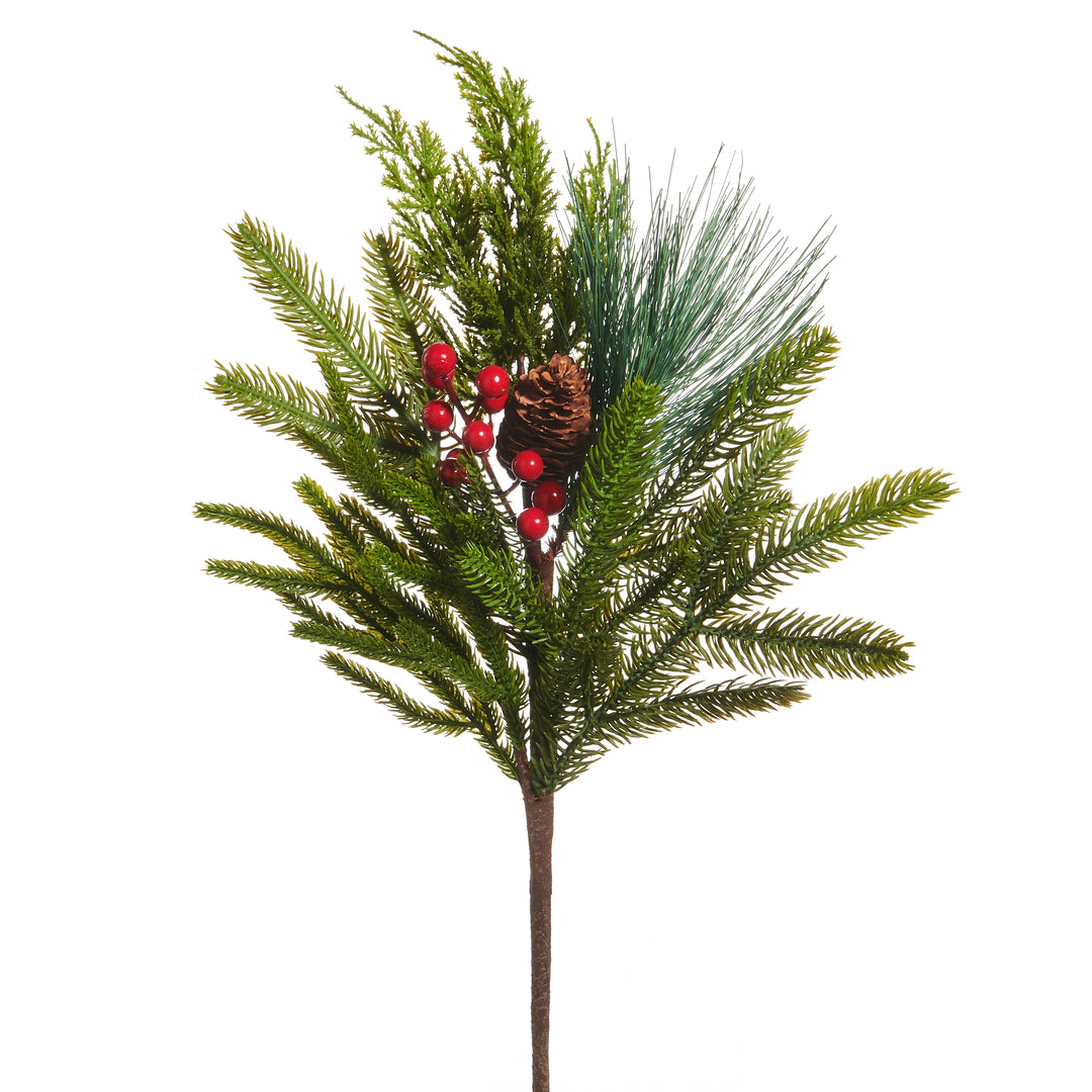 greenery stem with red berries and pinecone on white background