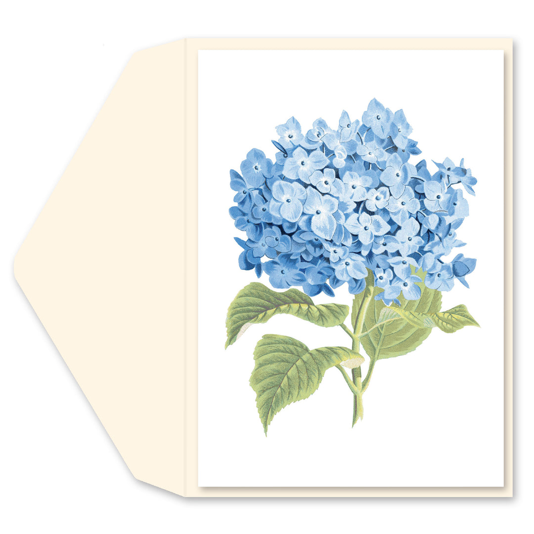 BLUE HYDRANGEA BLANK CARD