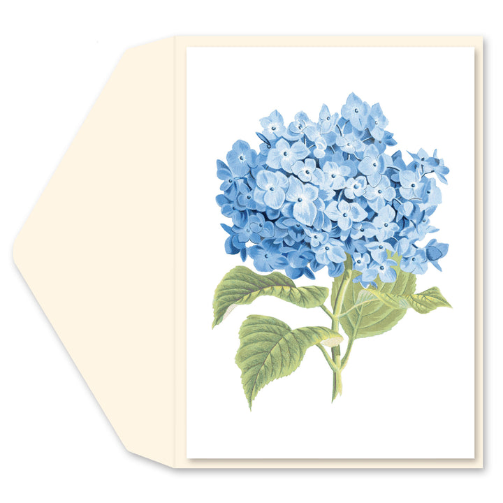 BLUE HYDRANGEA BLANK CARD