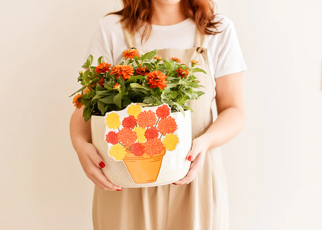 Person holding a decorative pot with flowers against a plain background
