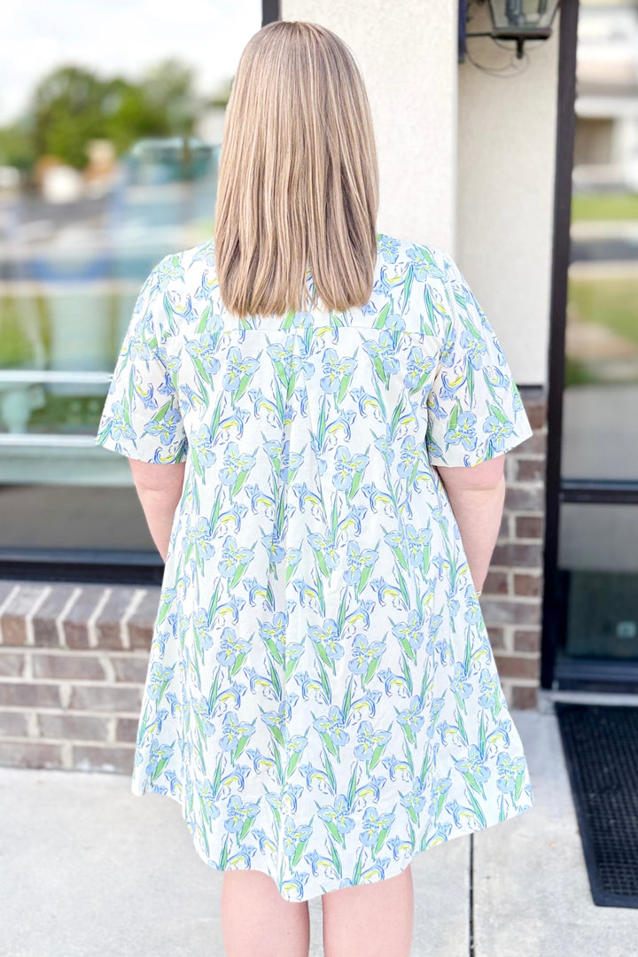 BLUE & CREAM FLORAL BUTTON COLLARED DRESS