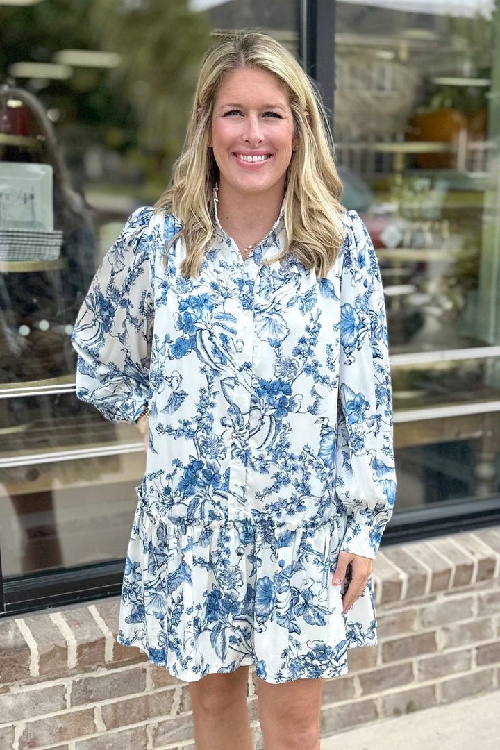 BLUE & WHITE TOILE LONG SLEEVE DRESS