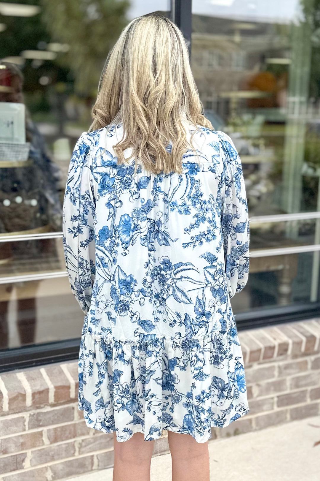 BLUE & WHITE TOILE LONG SLEEVE DRESS