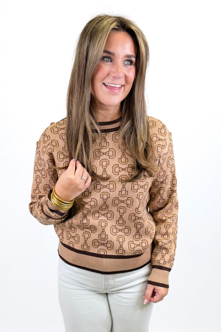 BROWN PATTERN CONTRAST STRIPE SWEATER