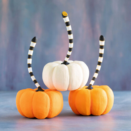 ORANGE & CREAM PUMPKINS