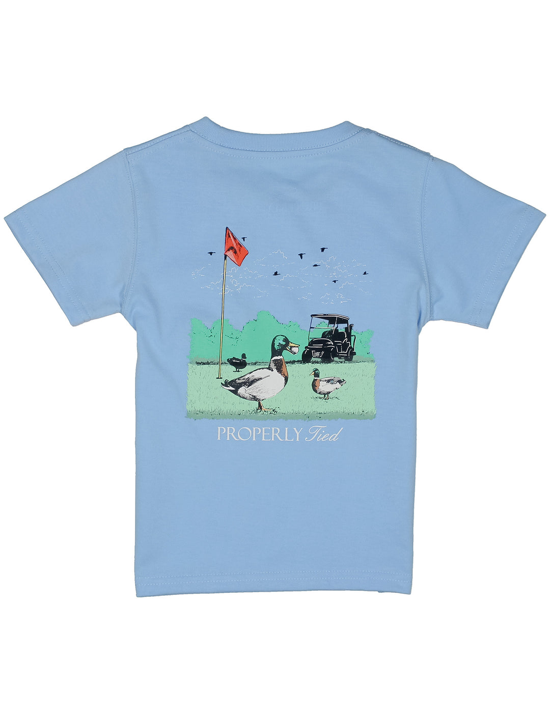 BOYS LIGHT BLUE SHORT SLEEVE CREW NECK T-SHIRT WITH DUCKS ON GOLF COURSE PAINTING ON BACK ON WHITE BACKGROUND