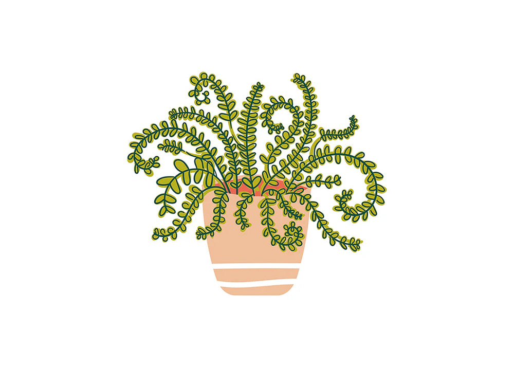 MIINI HOUSEPLANT ATTACHMENT ON WHITE BACKGROUND