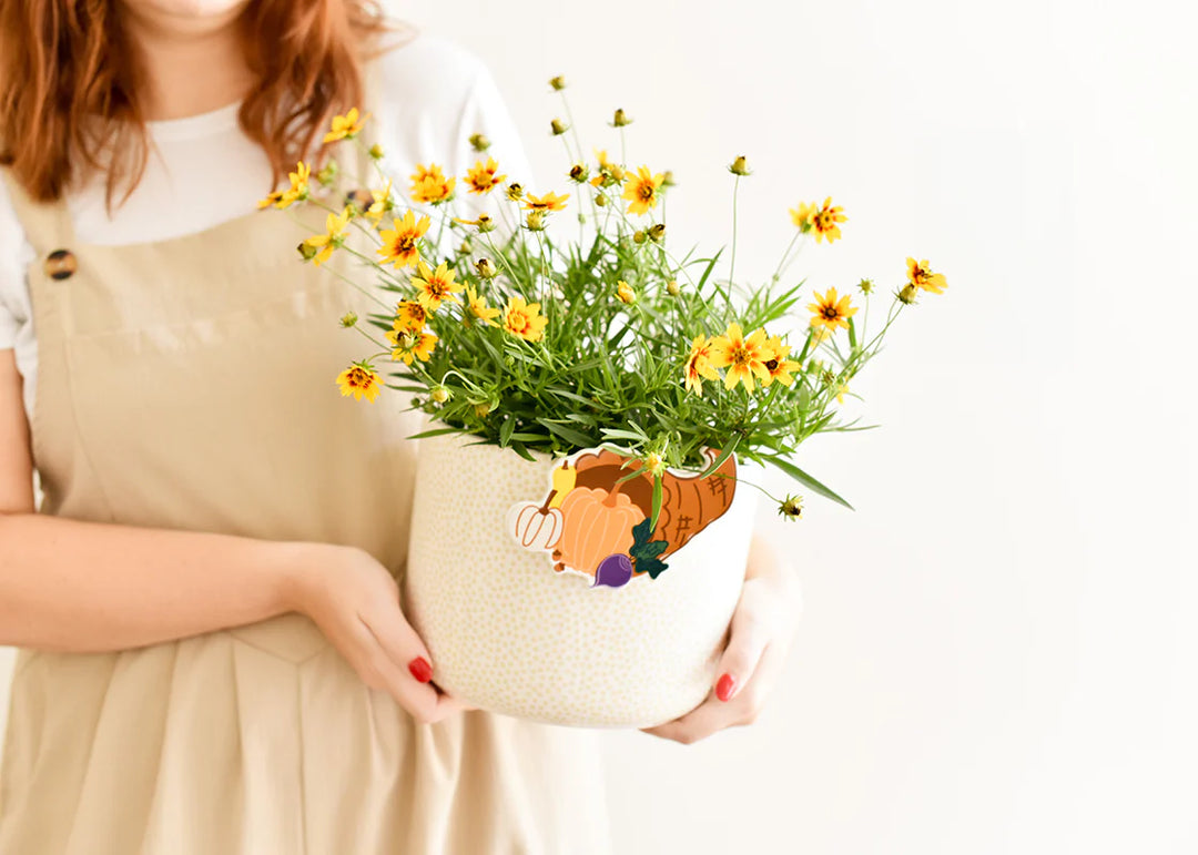 Person holding a potted plant with yellow flowers on a white background