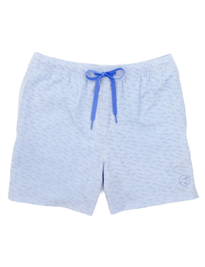 shark attach swim trunks