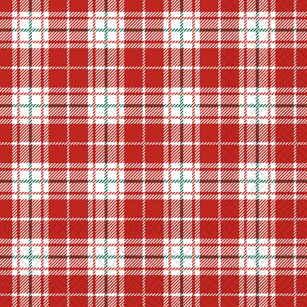 Checkers Red Cocktail Napkin – Classic Gingham Party Napkins for Entertaining | Walker Boutique