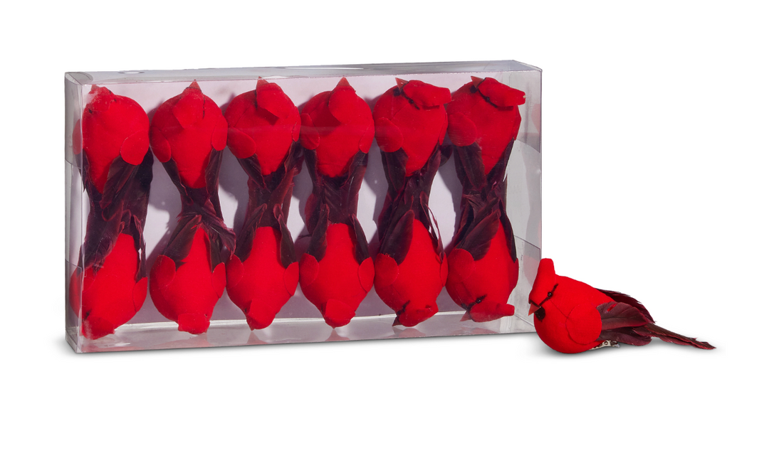 Set of red bird-shaped objects in a clear box on a white background