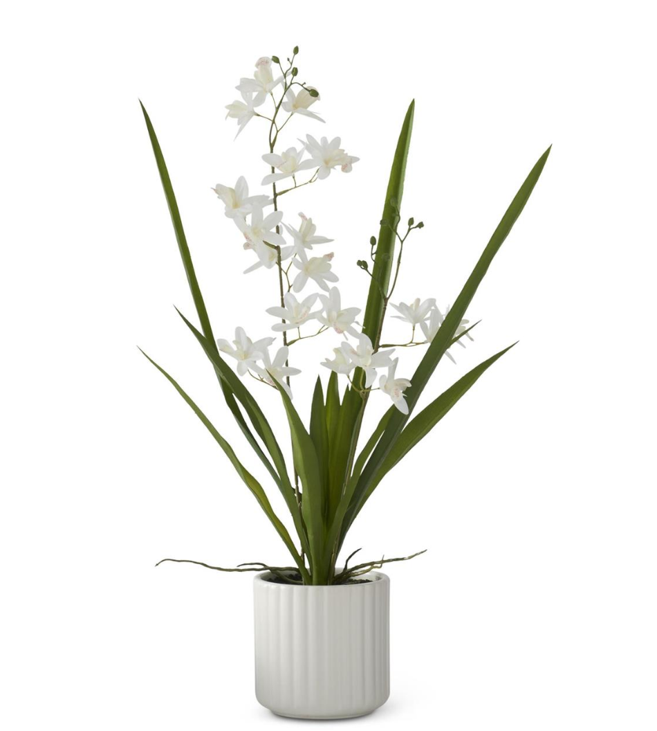 Faux white orchid plant with green leaves in a ribbed ceramic planter | Walker Boutique