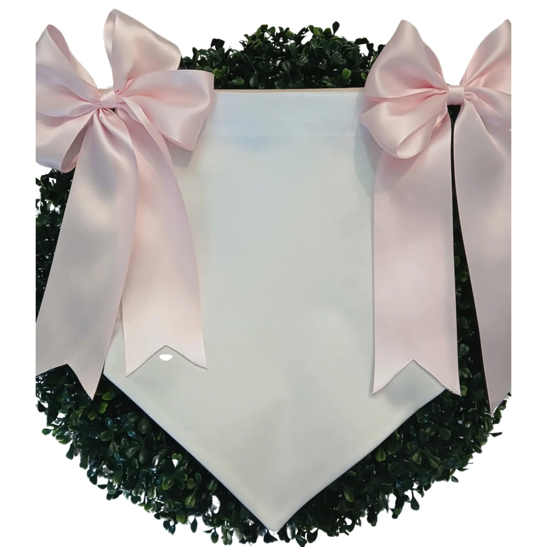 Baby Banner Set WITH PINK BOWS