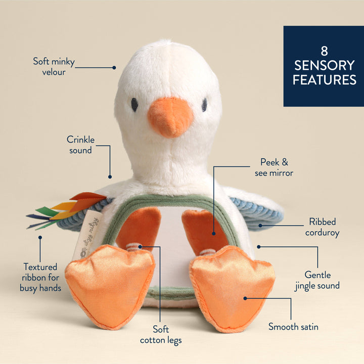 GOOSE SENSORY TUMMY TIME MIRROR
