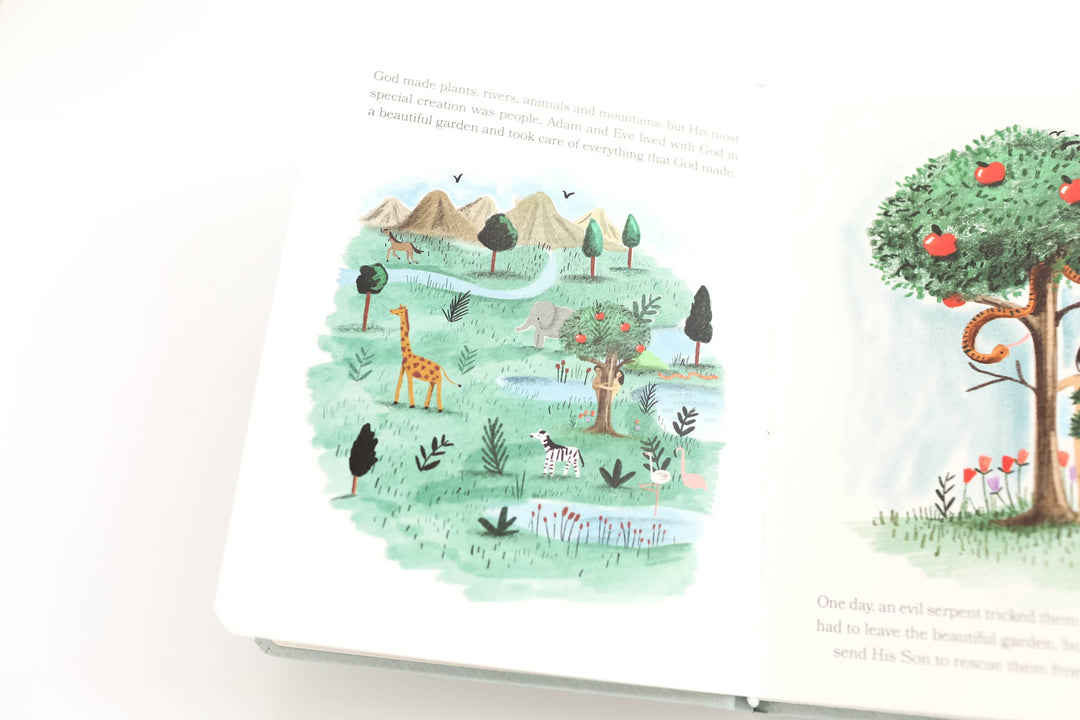 BIBLE STORIES FOR LITTLE ONES: BABY'S FIRST BIBLE BOARD BOOK