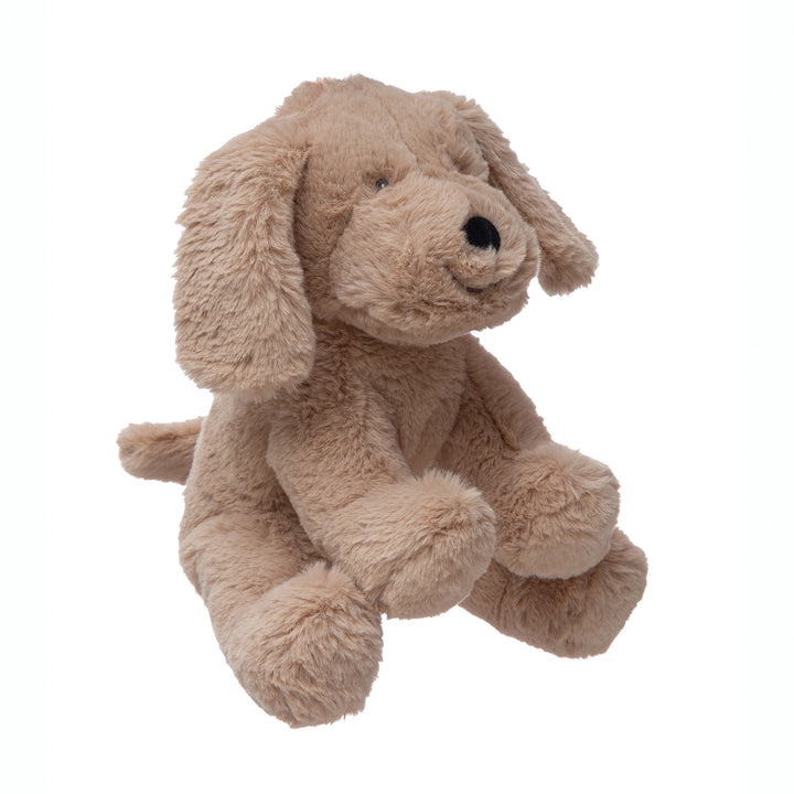 Plush dog toy on a white background