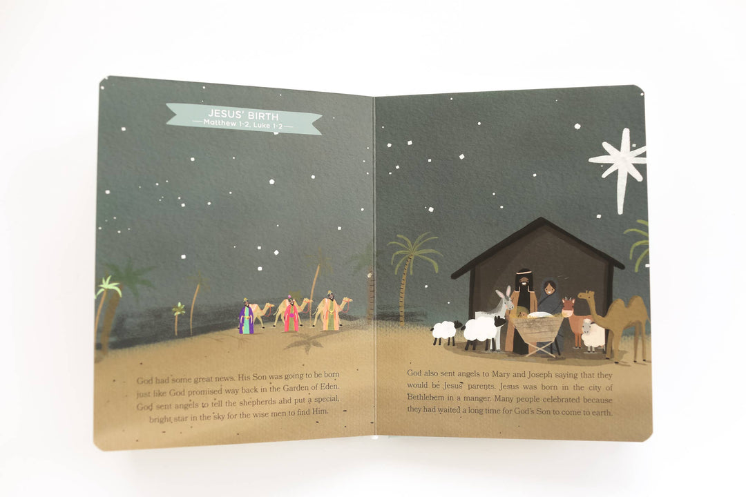 BIBLE STORIES FOR LITTLE ONES: BABY'S FIRST BIBLE BOARD BOOK