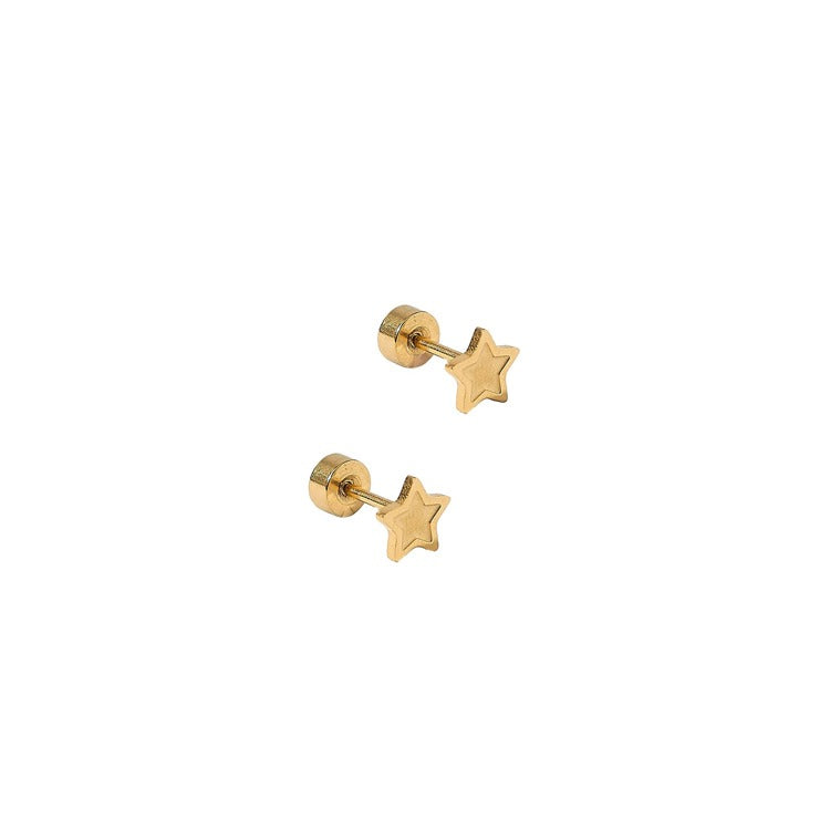 SCREWBACK STUD EARRING