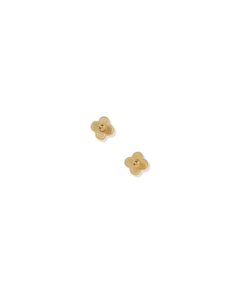 Pair of petite polished gold clover screwback stud earrings on a white background