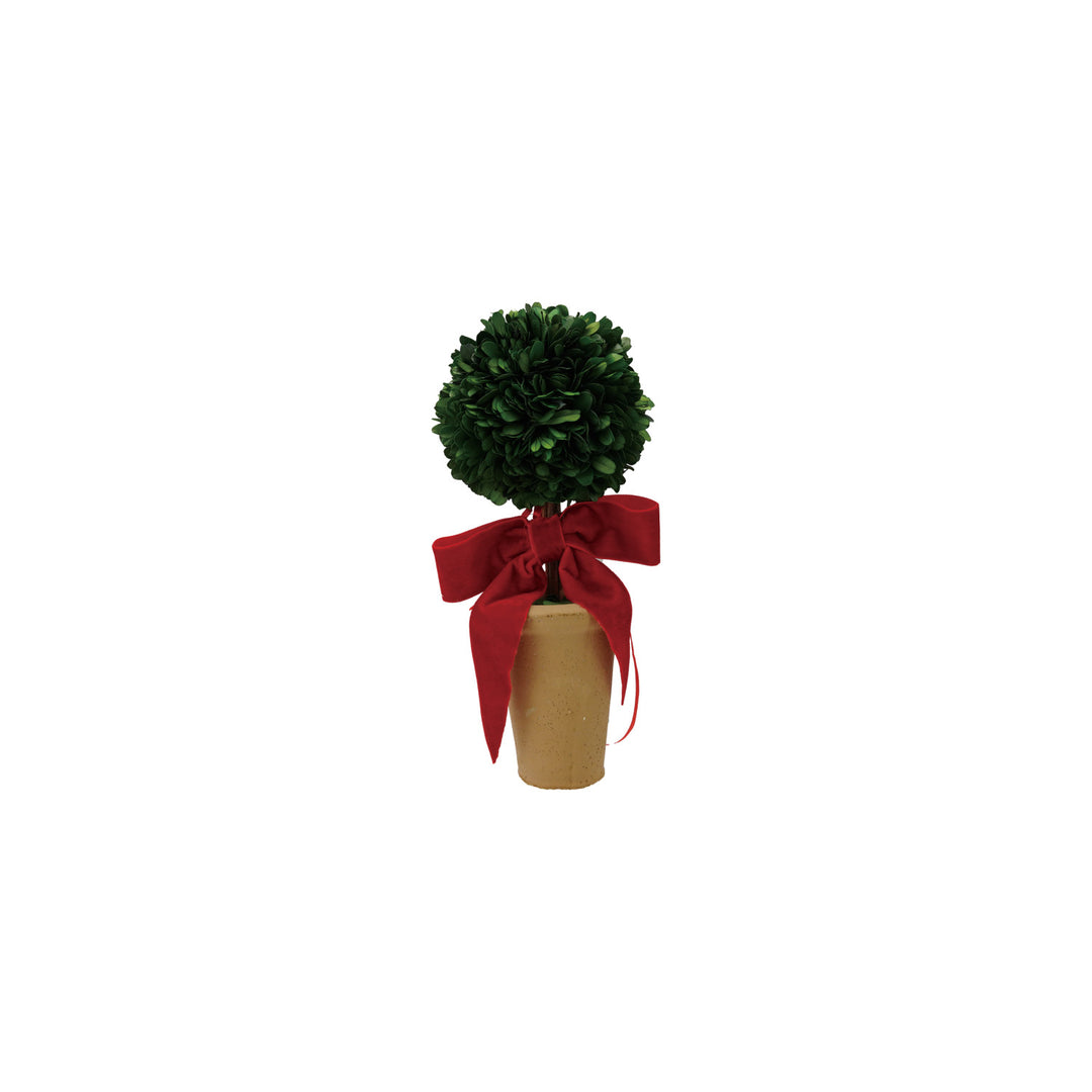 Dried Boxwood Tree In Terra-Cotta Pot With Red Velvet Bow shown in assorted holiday styling