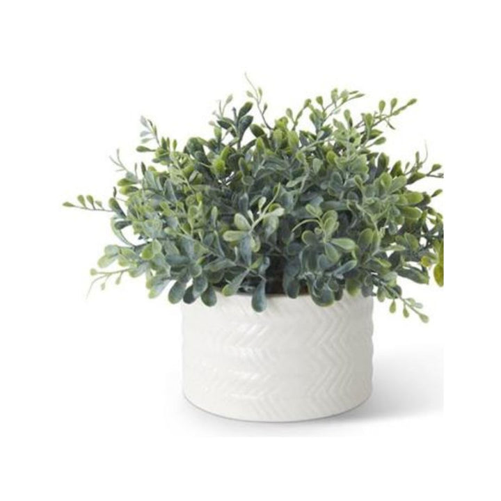 EUCALYPTUS IN RIBBED WHITE CERAMIC VASE