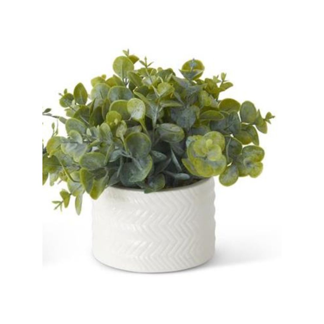 EUCALYPTUS IN RIBBED WHITE CERAMIC VASE