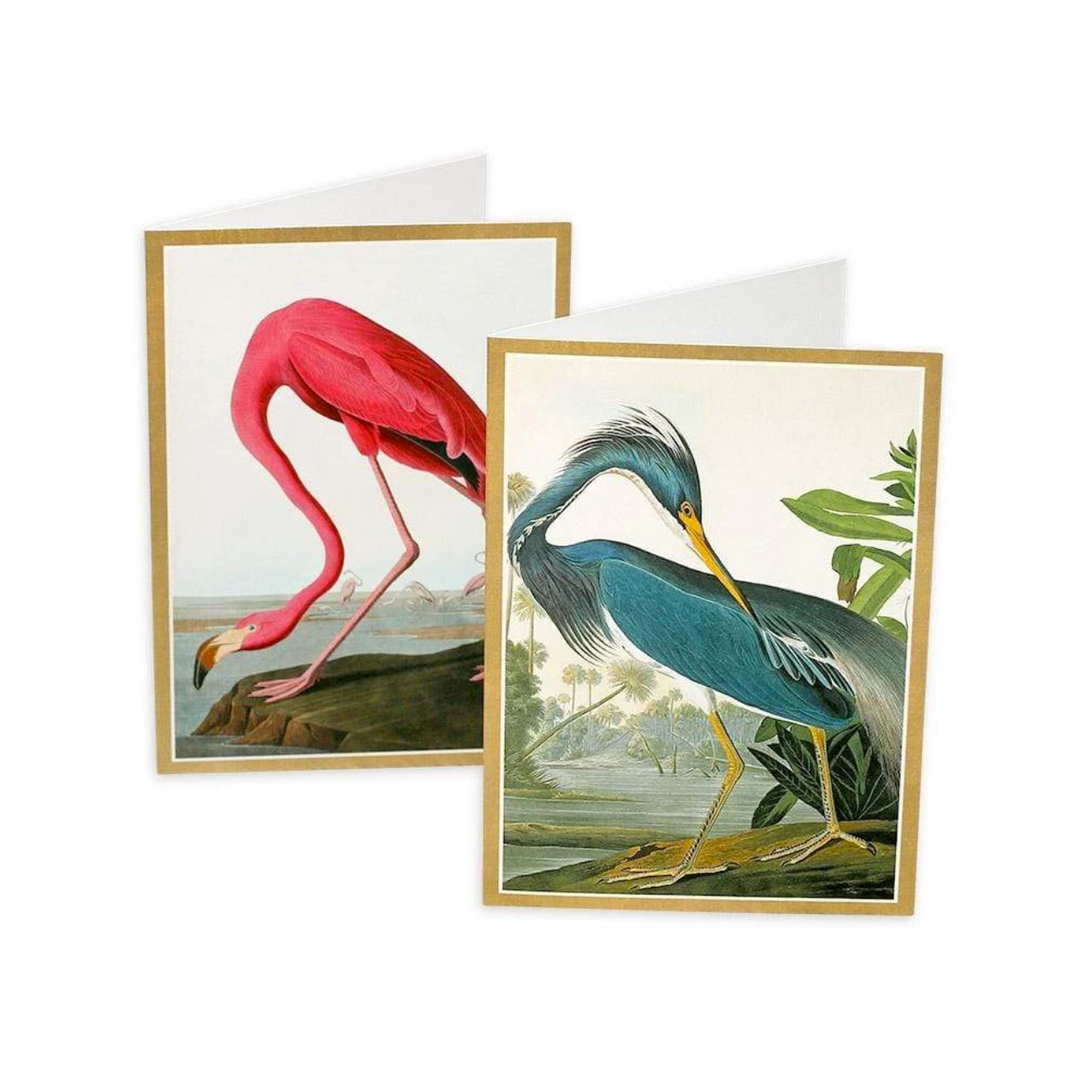 CASPARI AUDUBON BIRDS BOXED NOTE CARDS