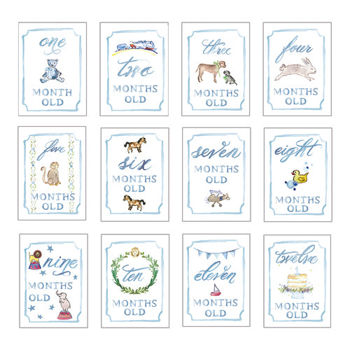 display of all 12 blue month by month infant card set up to 12 months